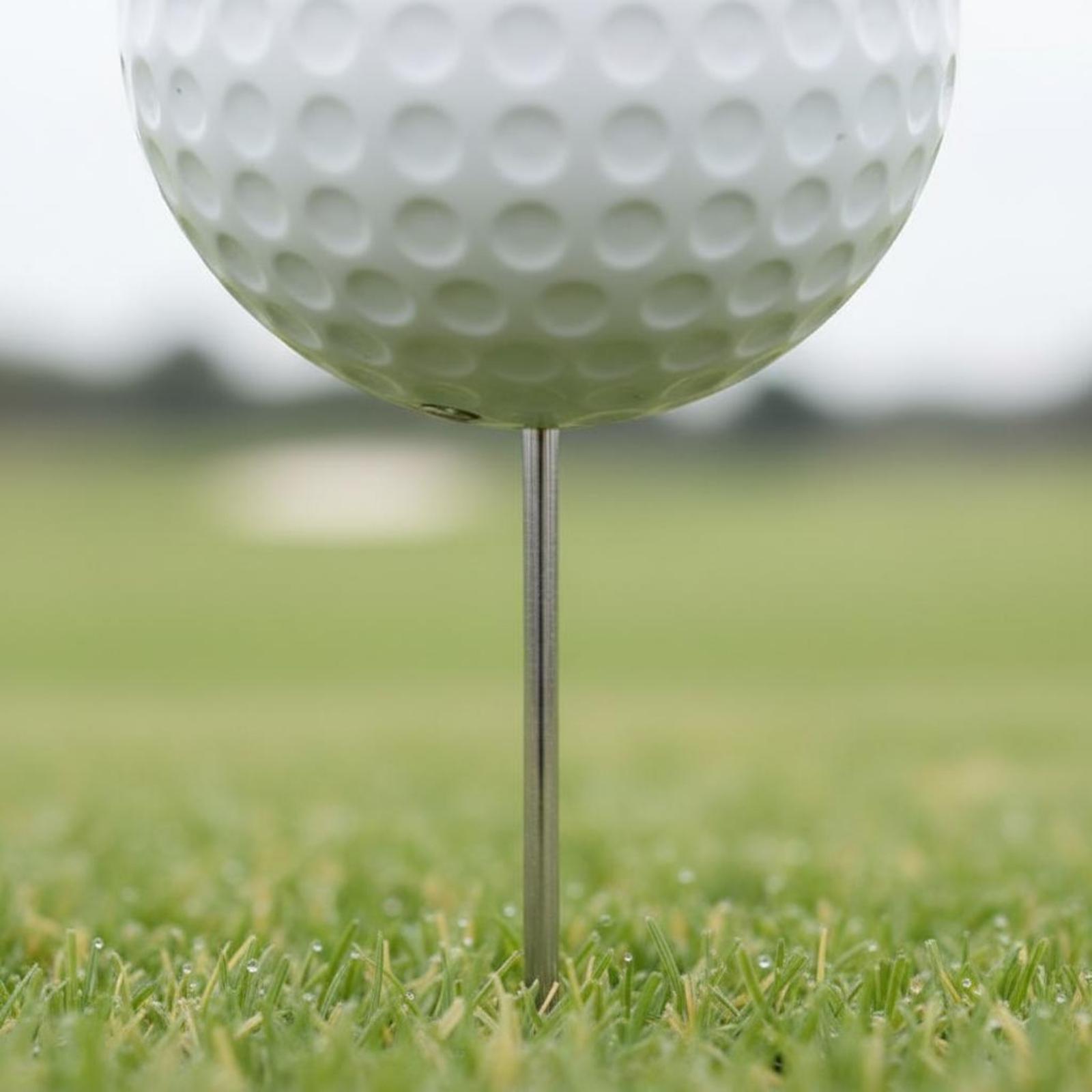 Course Teeing Starter Golf Bal - огляд і ціна Golf Tees